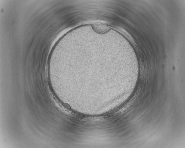 X0000070411044200607072304