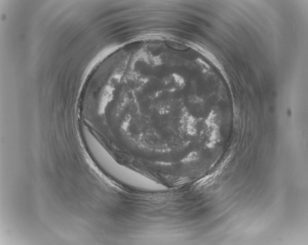 X0000070411045200607072304