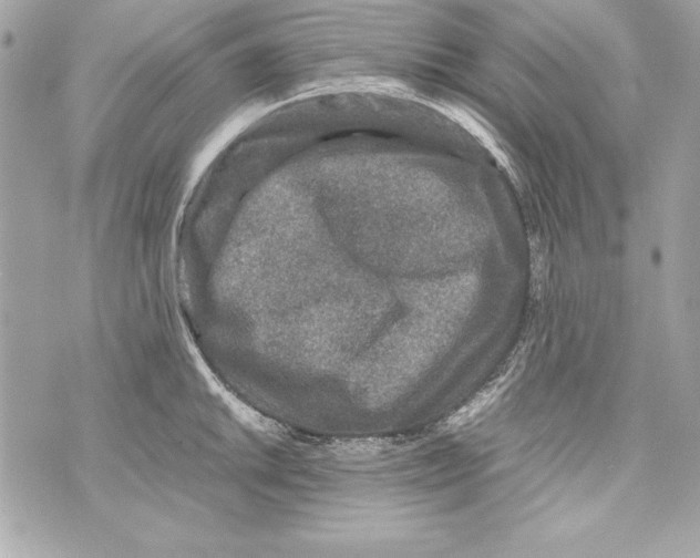 X0000070411046200607072304