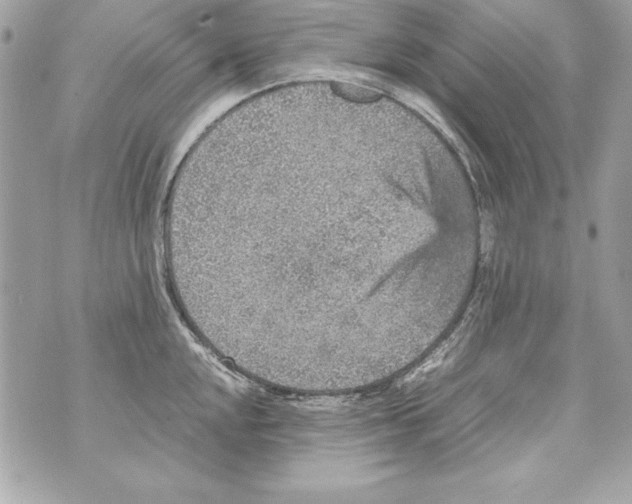 X0000070411048200607072304