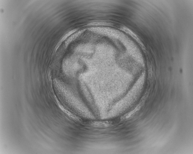 X0000070411049200607072304