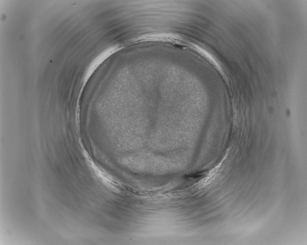 X0000070411050200607072304