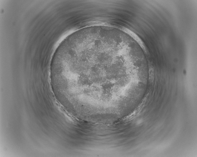 X0000070411051200607072304