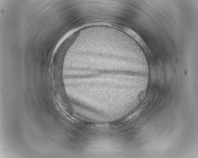 X0000070411052200607072304