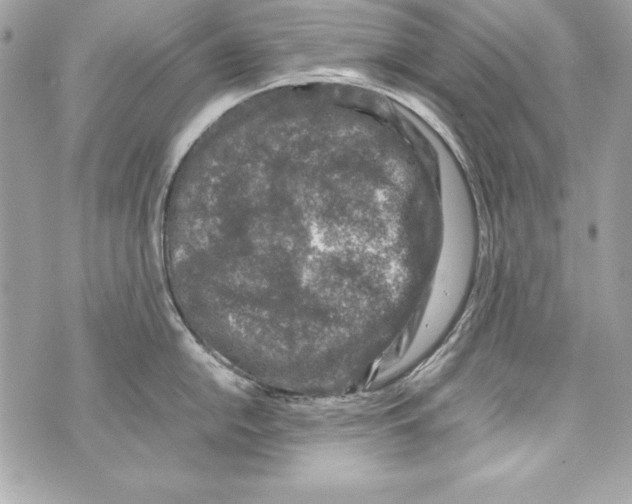 X0000070411054200607072304