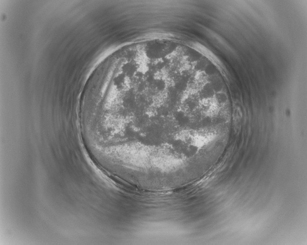 X0000070411055200607072304