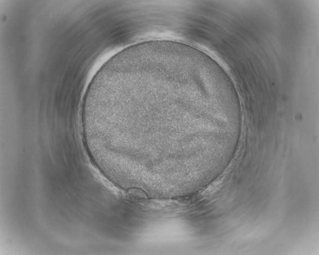 X0000070411056200607072304