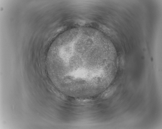 X0000070411105200607072302