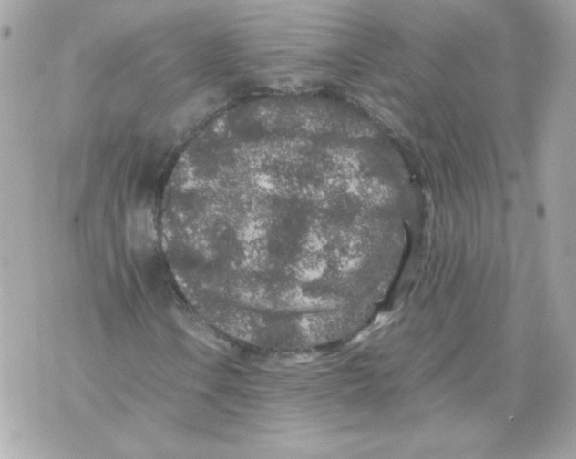 X0000070411106200607072302