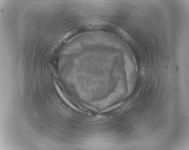 X0000070411108200607072302