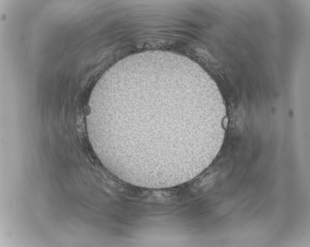 X0000070411109200607072302