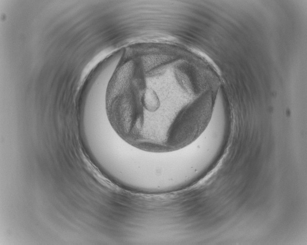 X0000070411114200607072302