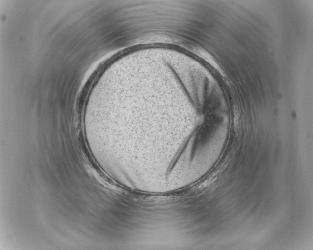 X0000070411116200607072302