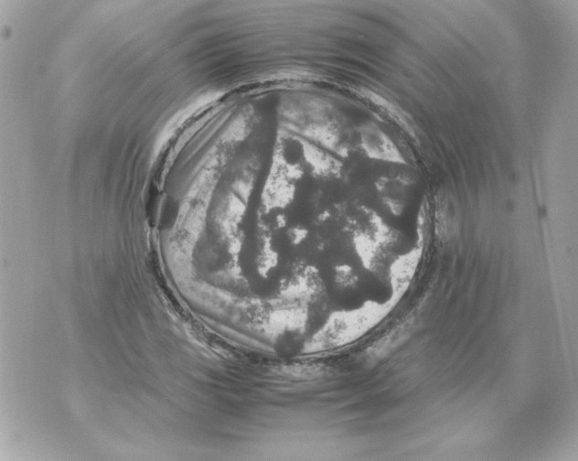 X0000070411117200607072302