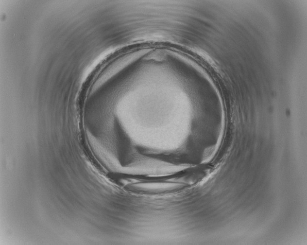 X0000070411118200607072302