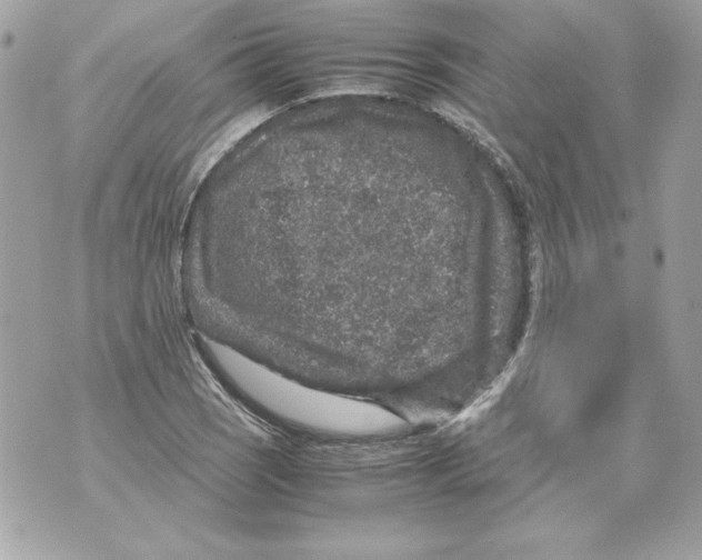 X0000070411121200607072302