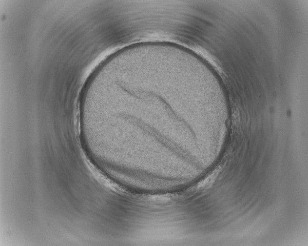 X0000070411126200607072302