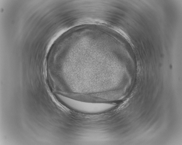 X0000070411128200607072302