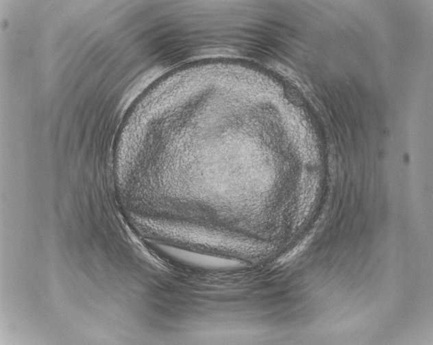 X0000070411129200607072302