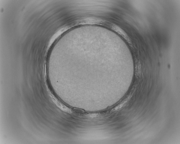 X0000070411130200607072302