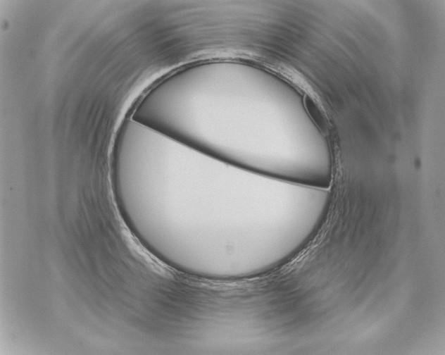 X0000070411132200607072302