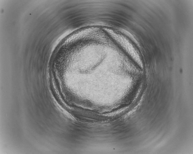 X0000070411133200607072302