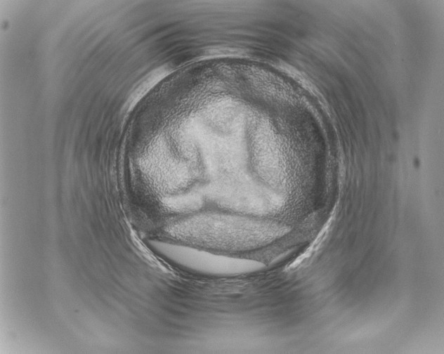 X0000070411137200607072302