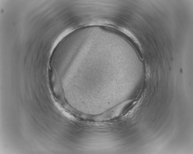 X0000070411138200607072302