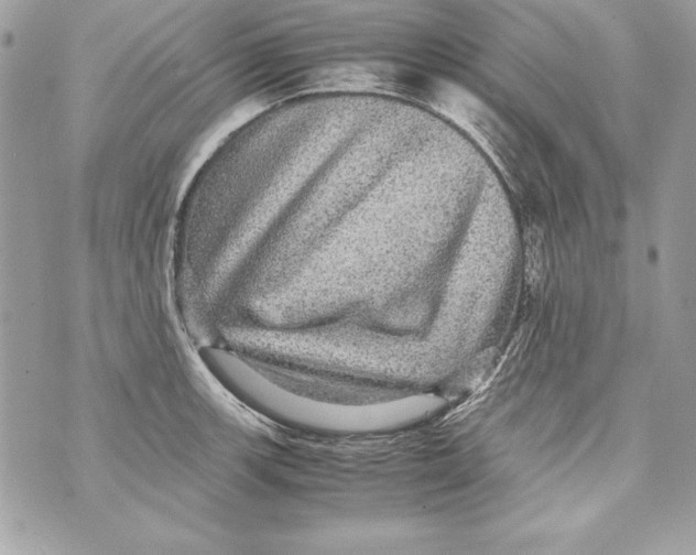 X0000070411139200607072302