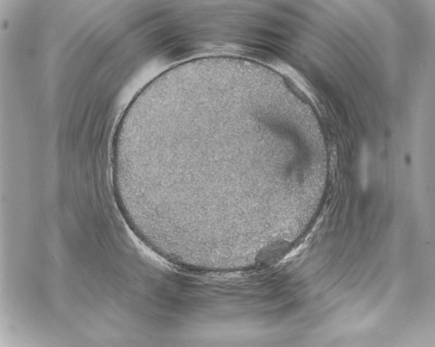 X0000070411143200607072302