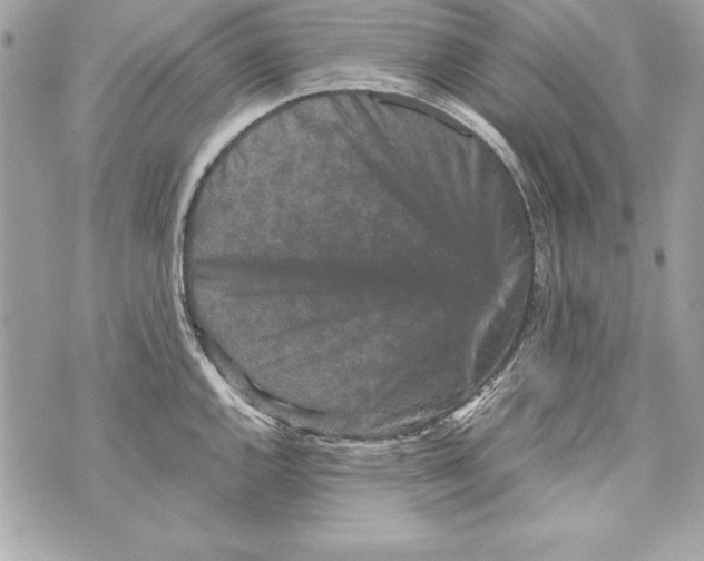 X0000070411144200607072302