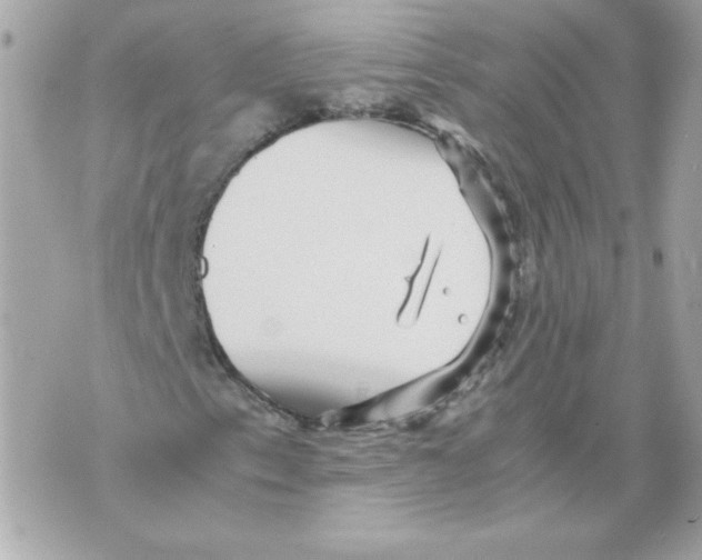 X0000070411153200607072302