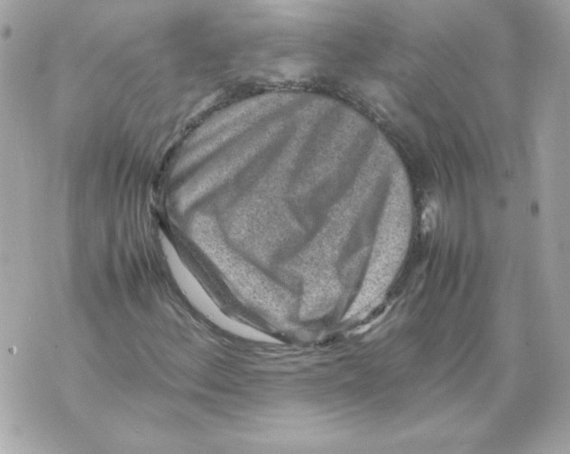 X0000070411156200607072302