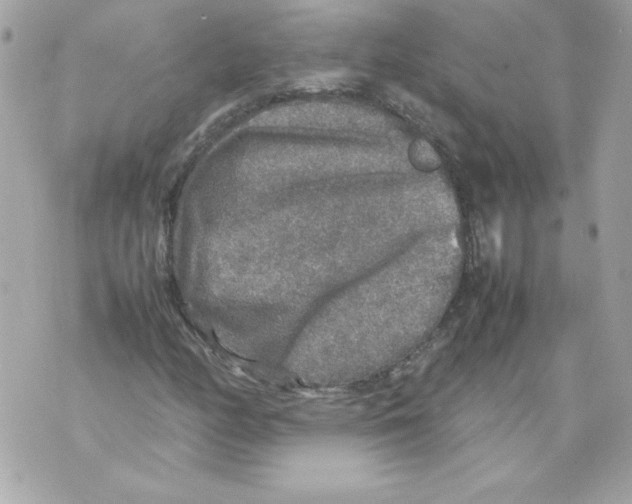 X0000070411158200607072302