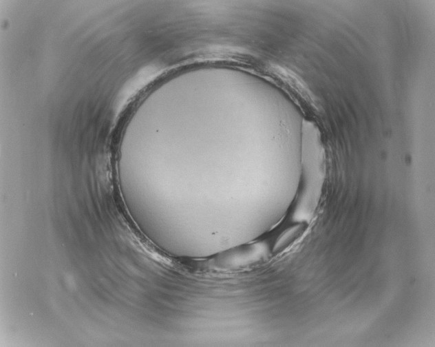 X0000070411164200607072302