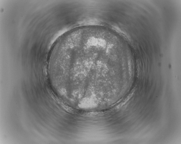 X0000070411166200607072302