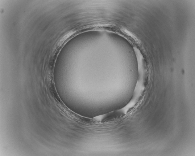 X0000070411169200607072302