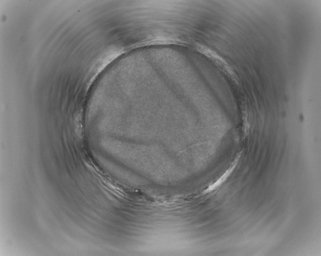 X0000070411170200607072302