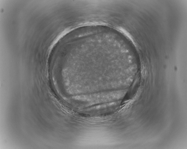 X0000070411173200607072302