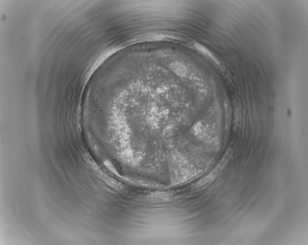 X0000070411178200607072301