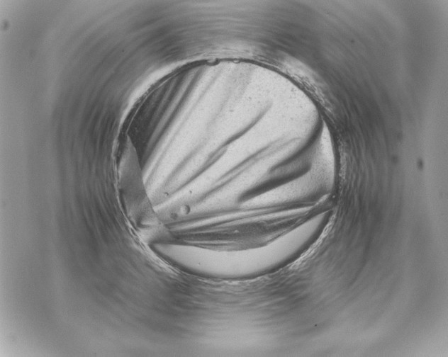 X0000070411184200607072301