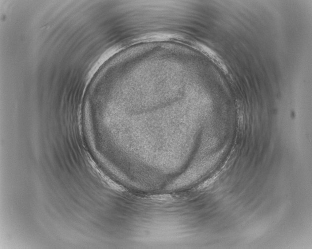 X0000070411186200607072301