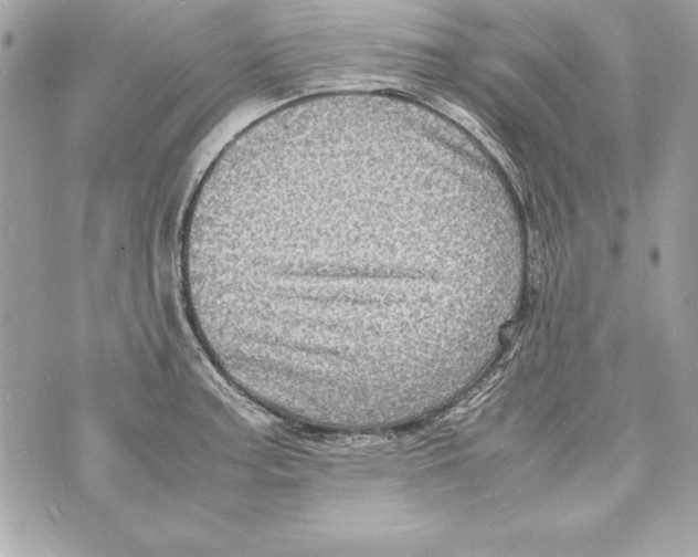 X0000070411187200607072301