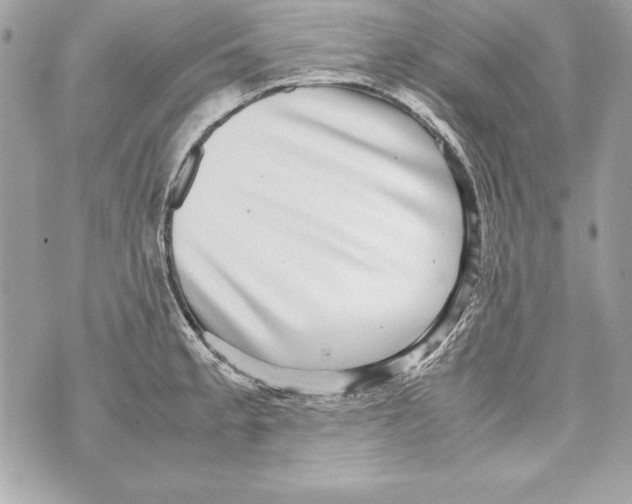 X0000070411189200607072301