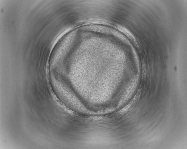 X0000070411190200607072301