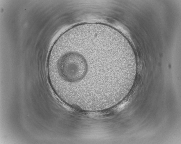 X0000070411191200607072301