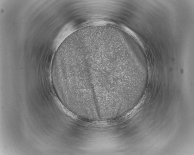 X0000070411194200607072301