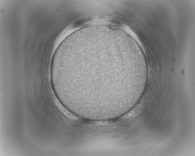 X0000070411195200607072301