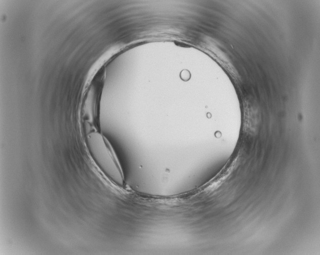 X0000070411196200607072301