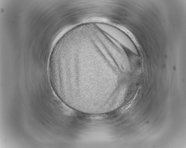 X0000070411199200607072301